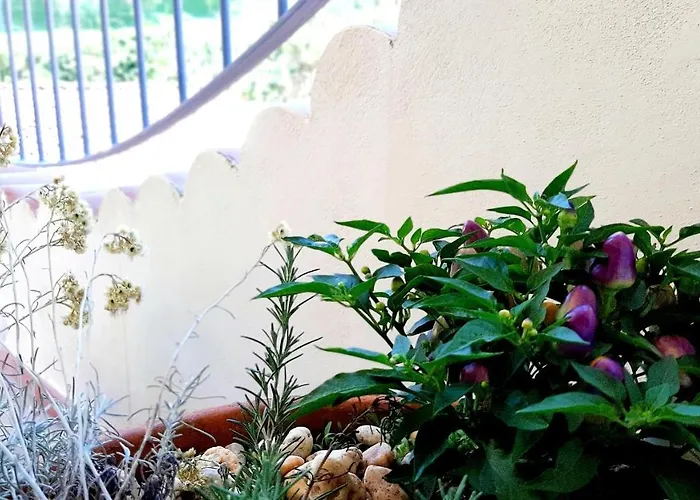 Il Tramonto Sulla Biodola